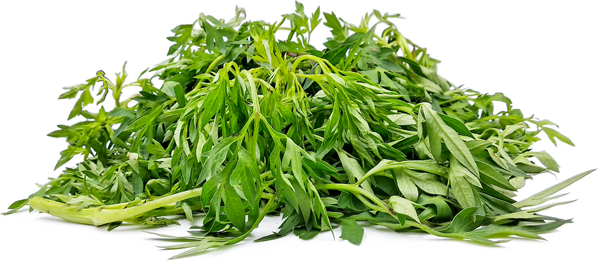 Kinekir Leaves picture