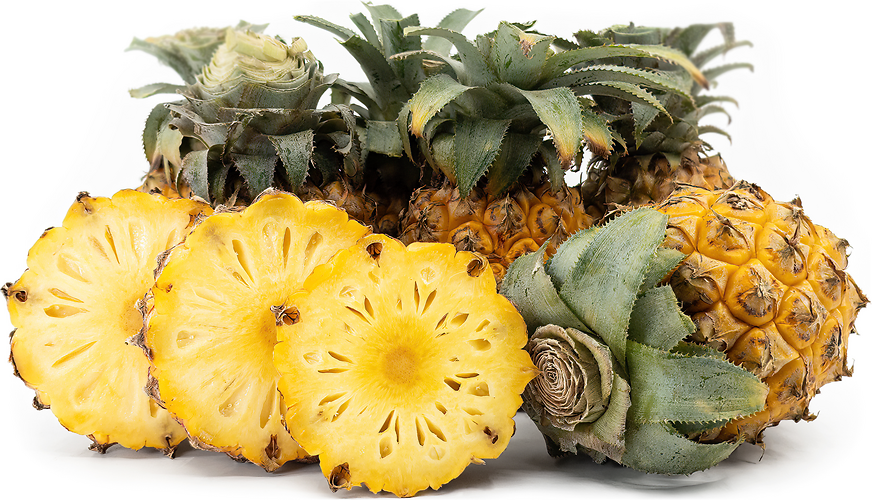 Honey Malang Pineapples picture
