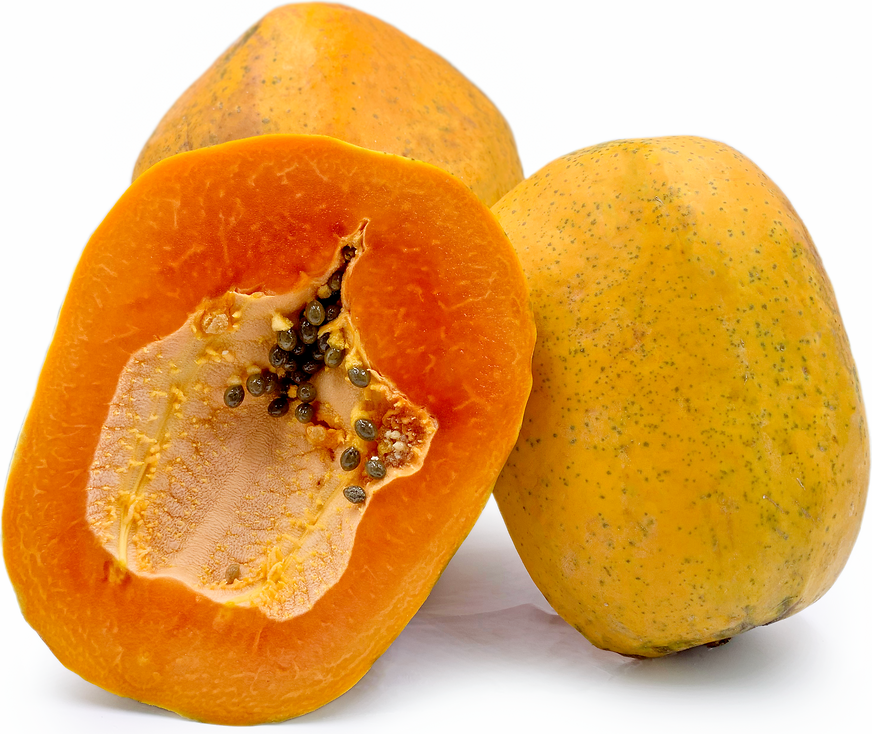 Rodonda Papaya picture