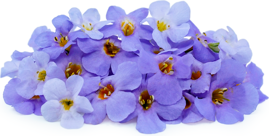 Princess Flowers picture
