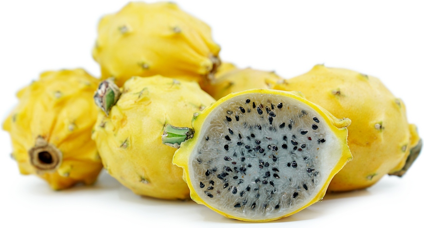Amazonian Dragon Fruit picture