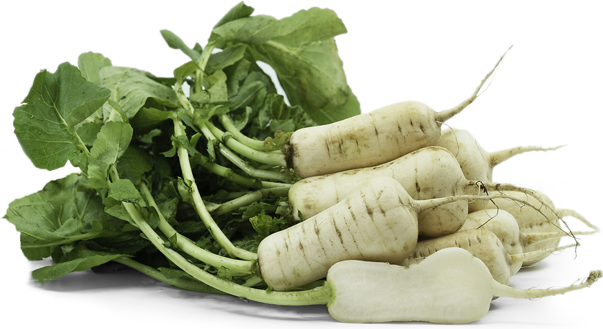 Altari Radishes picture
