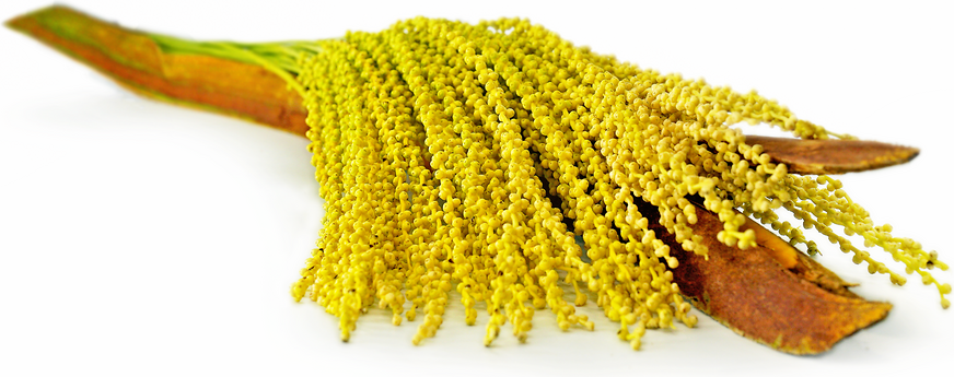 Date Flowers picture