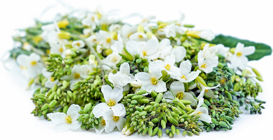 Portuguese Kale Flowers picture