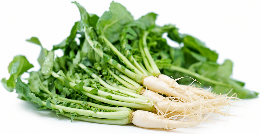 Yulmu Radishes picture