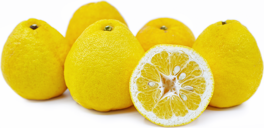Kinkoji Grapefruit picture