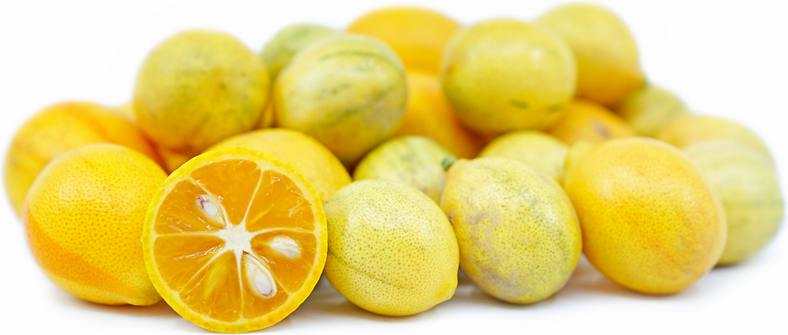 Varigated Kumquats picture