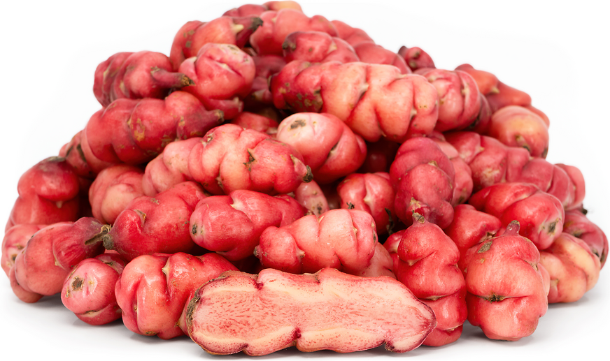 Black Oca picture