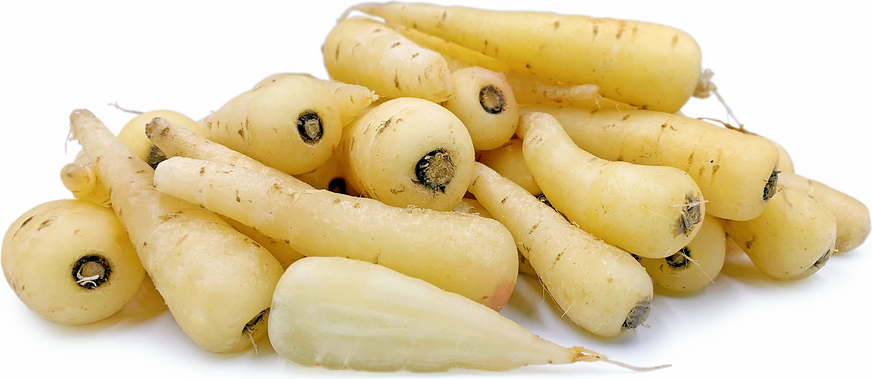 White Chantenay Carrots picture