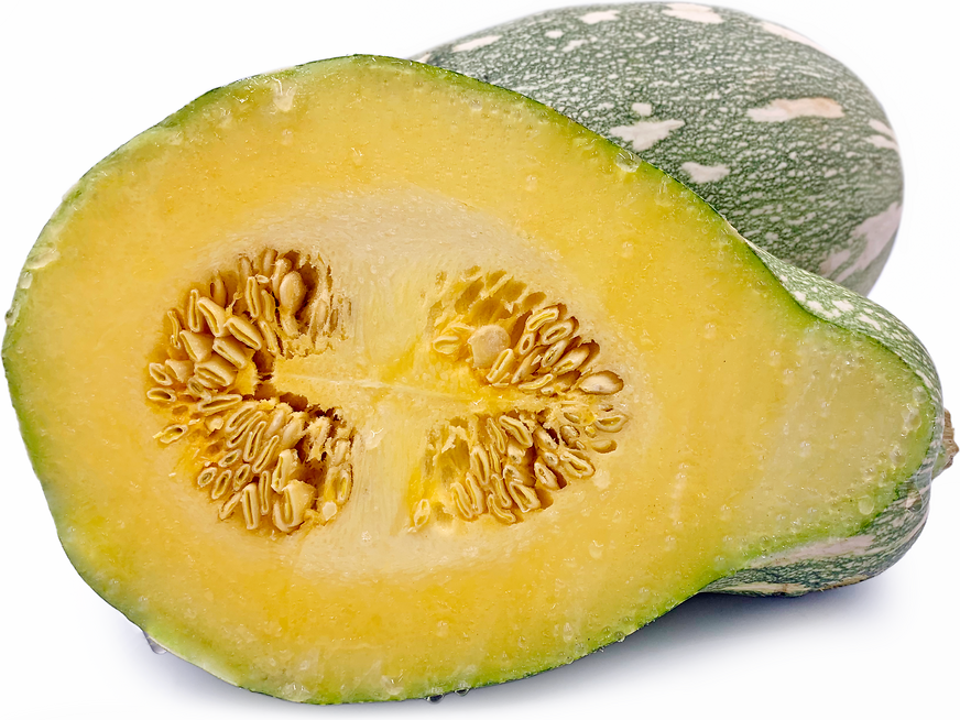 West African Squash picture
