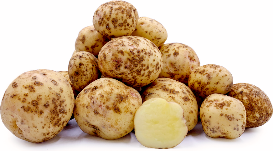Kitaakari Potatoes picture