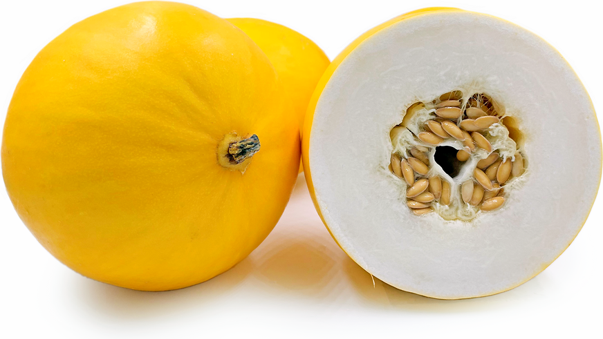 Rey Solu Melons picture