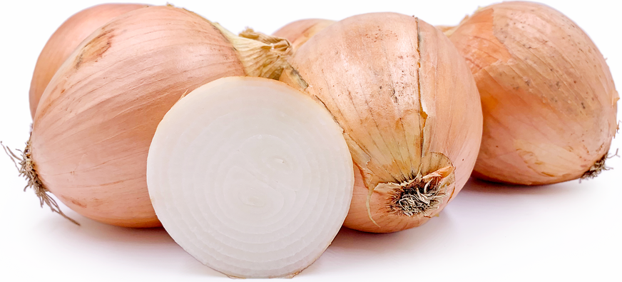 Amitama-Chan Onions picture