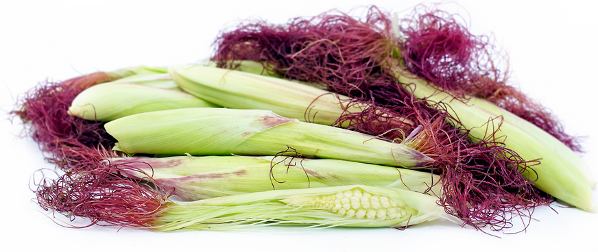 Robust Baby Corn picture