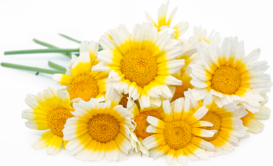 Sunny Side Up Flowers picture