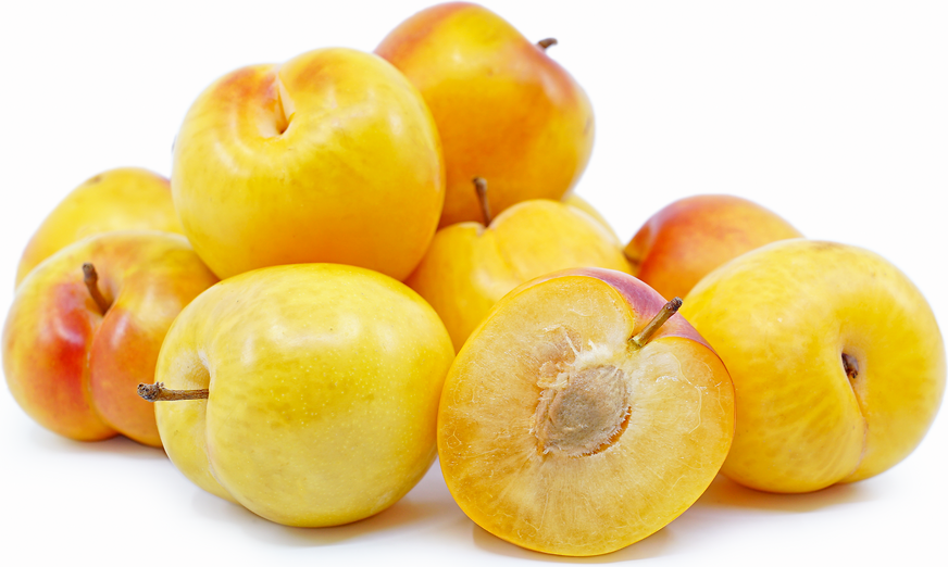 Howard's Miracle Plum picture