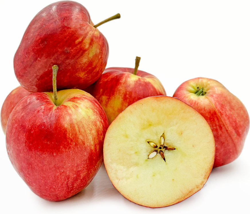 Norland Apples picture