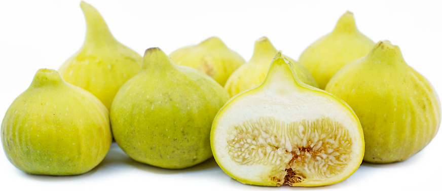 Deanna Figs picture
