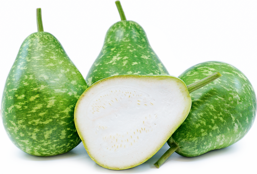 Calabash Squash picture