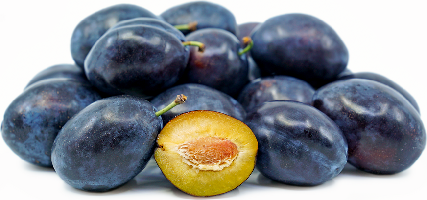 Stanley Prune Plum picture