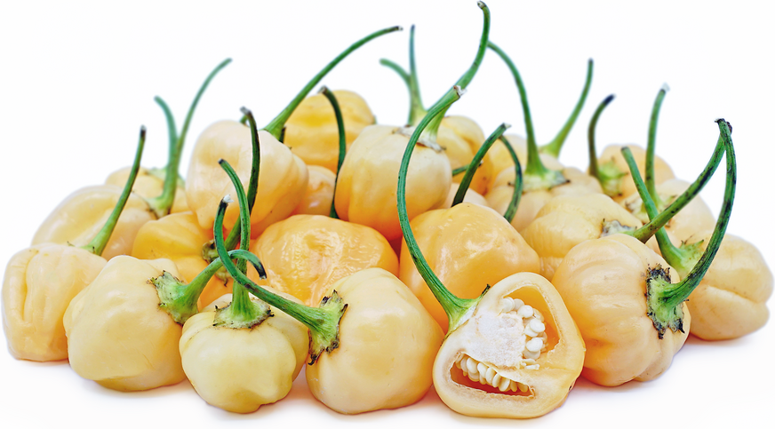 Peach-A-Dew Chile Peppers picture