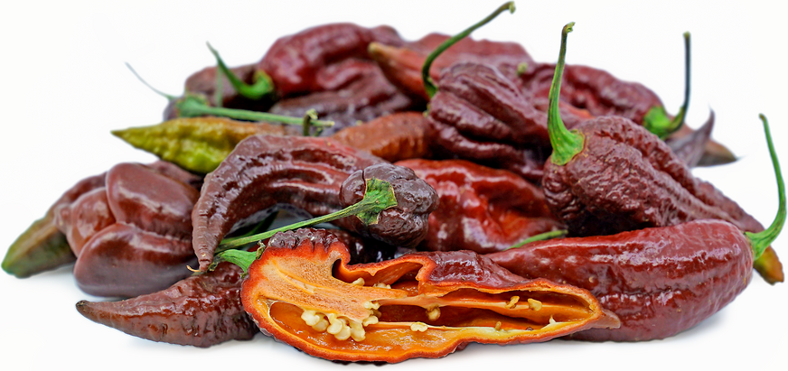 Bhut Chile Pepper picture