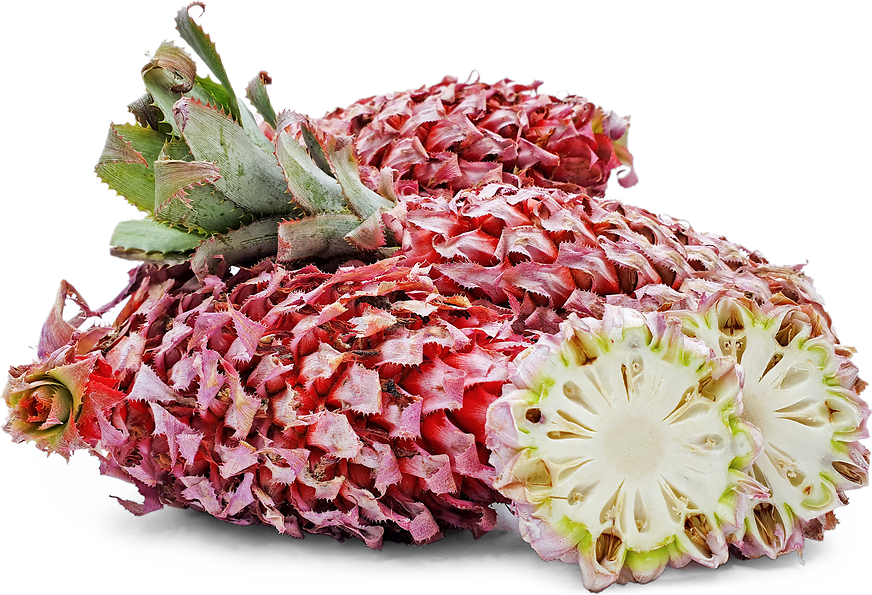Red Pineapples picture