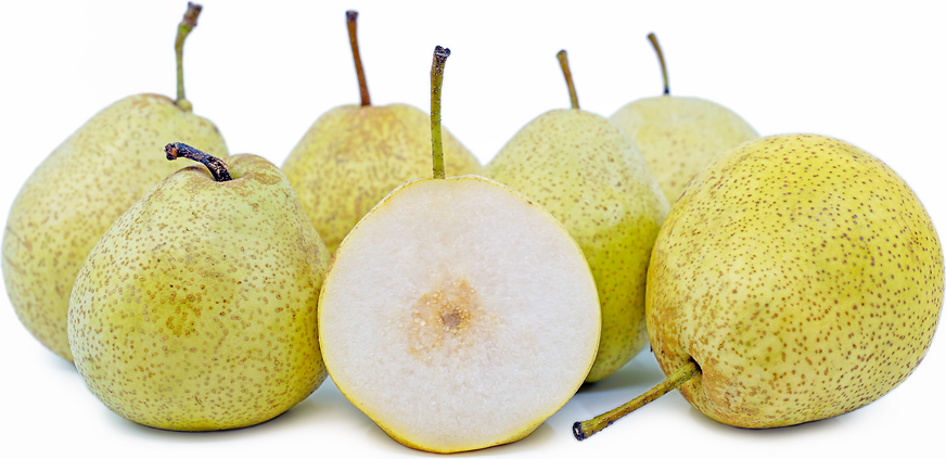 Shin Li Asian Pears picture
