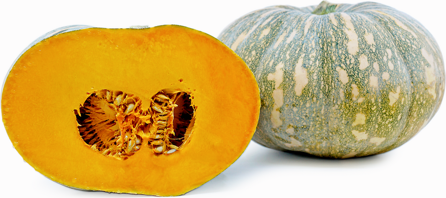 Pumpkins Cheetah picture