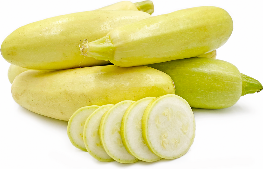 Russian Yellow Squash picture