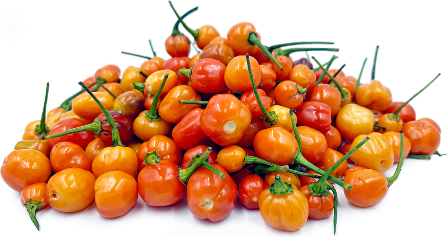 Bodet Chile Peppers picture