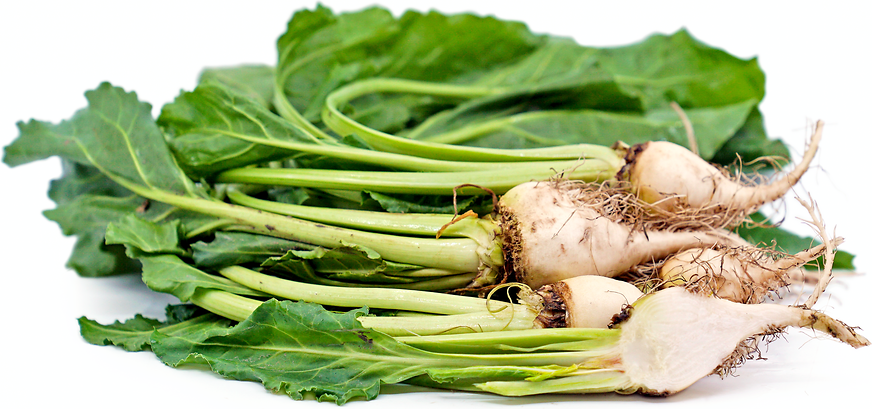 Baby White Beets picture