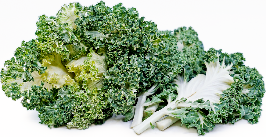 FM Kale Ghost - County Line Harvest picture