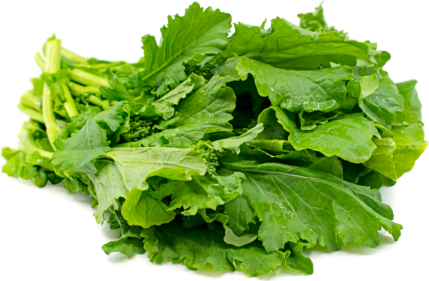 Rapini picture