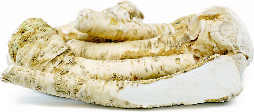 Horseradish Root picture