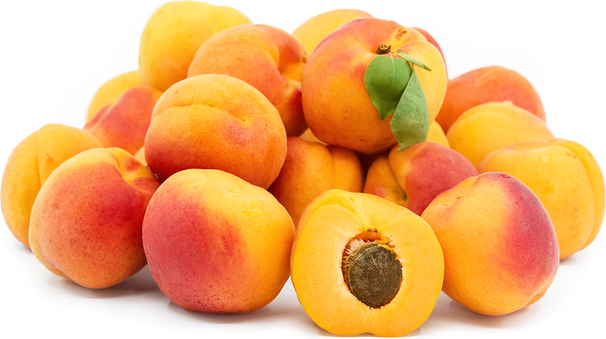 Apricots picture