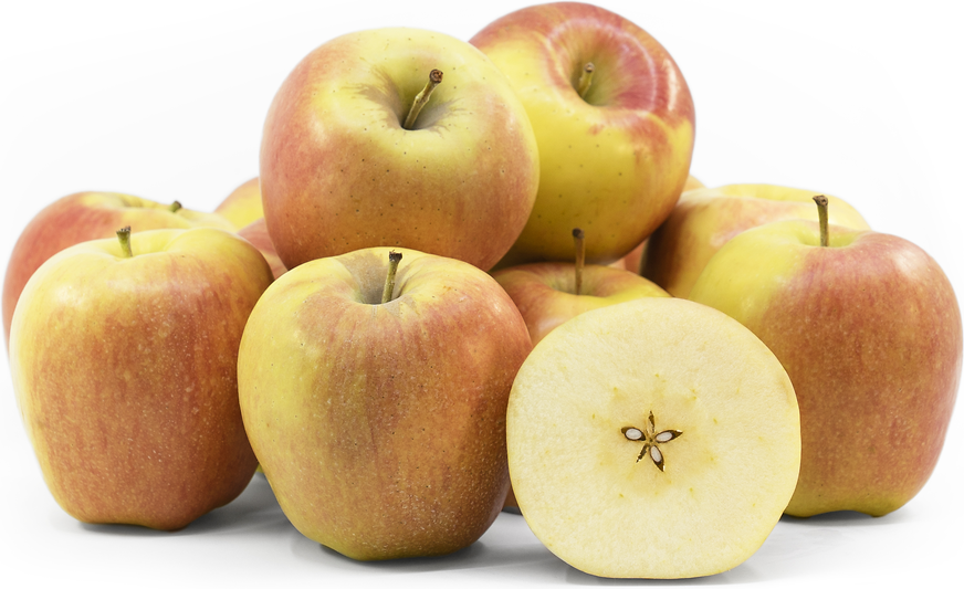 Ambrosia Apples picture