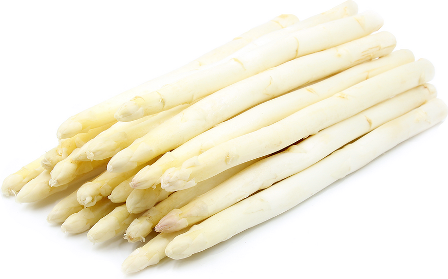  White Asparagus picture