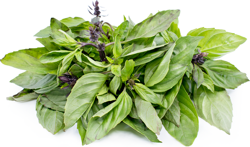 Thai Basil picture