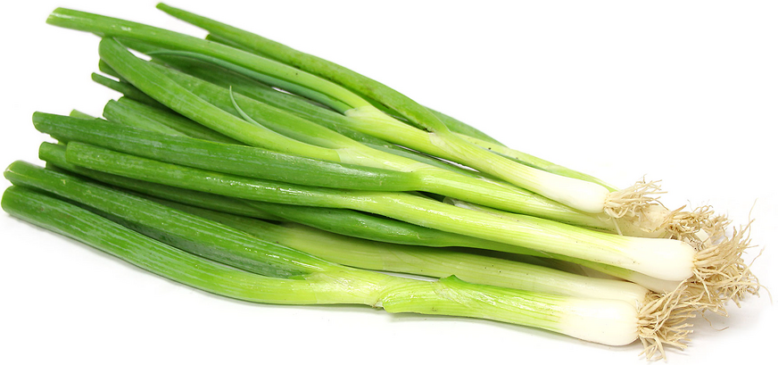 Organic Green Onion picture