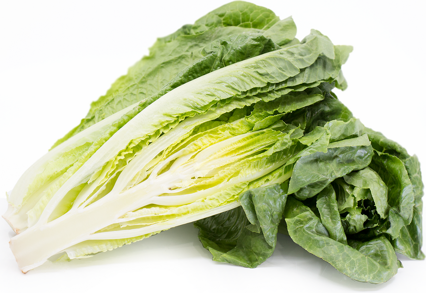 Organic Romaine Hearts picture