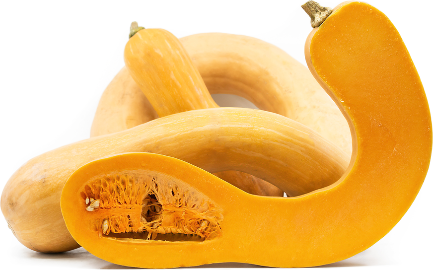 Tahitian Squash picture