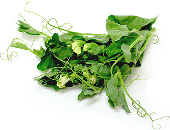 Pea Tendrils picture