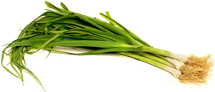 Green Garlic picture