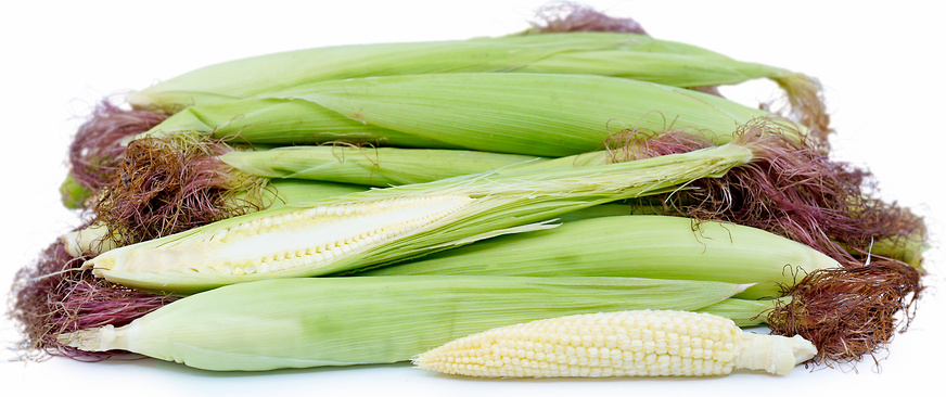Baby Corn picture