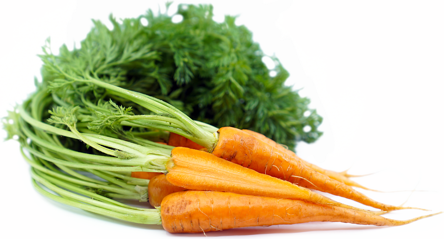 Baby Bunched Carrots picture