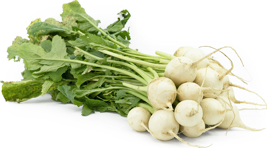 Baby Bunch Turnips picture