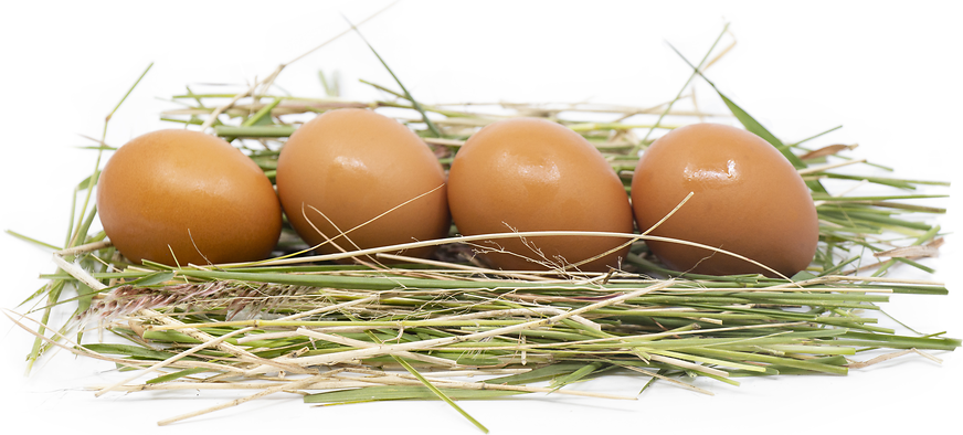 Brown Chicken Eggs picture