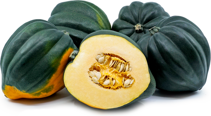 Is acorn squash sold in the summer months?