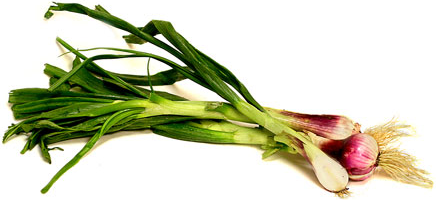 Red Spring Onions picture